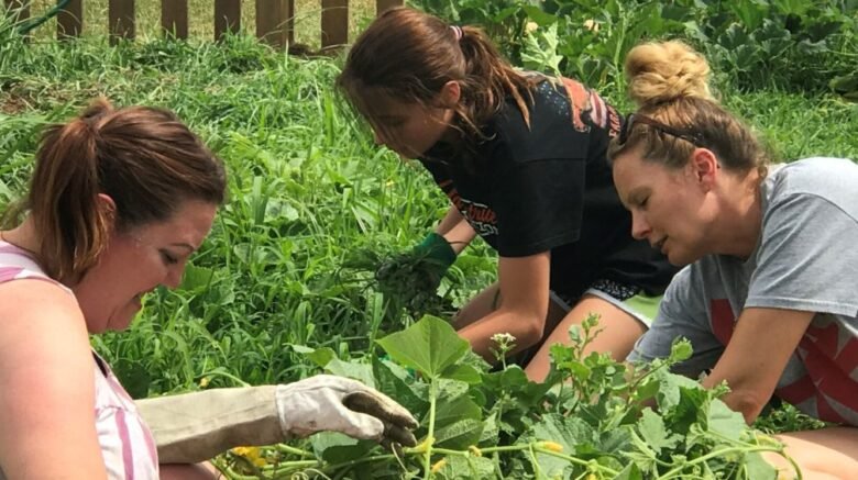 Volunteers working in a community garden